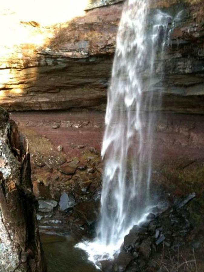 Play All Day - Sleep By The Stream At Night - Swimming Hole Palenville Exterior photo