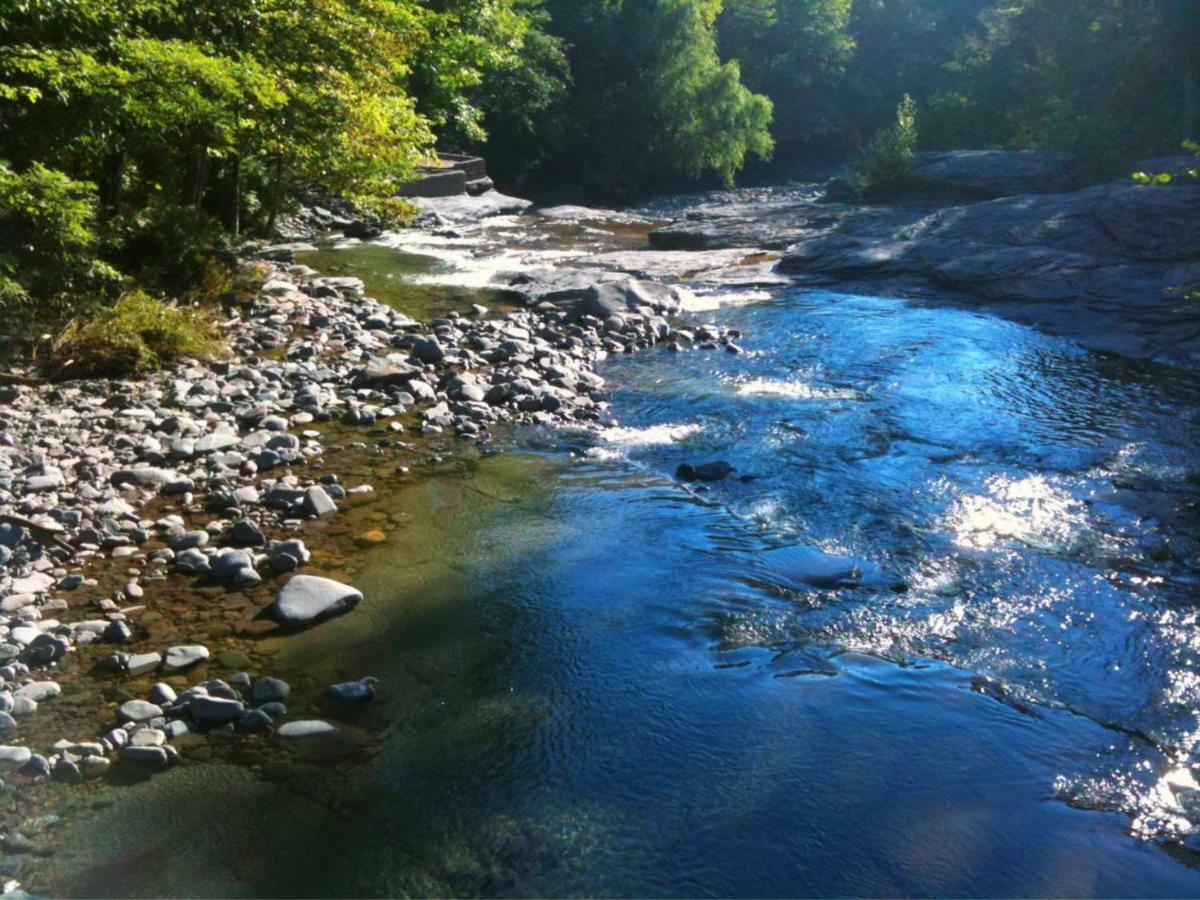 Play All Day - Sleep By The Stream At Night - Swimming Hole Apartment Palenville Exterior photo